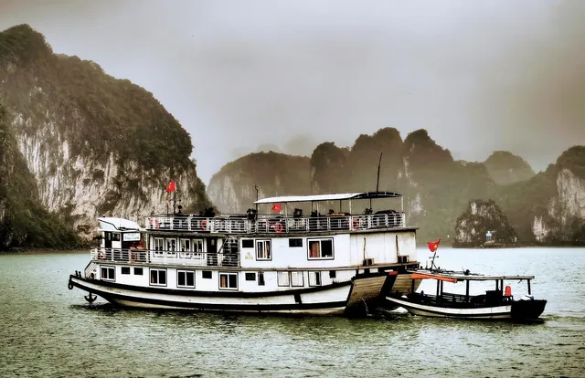 Phoenix Cruise: From 104 USD/ pax