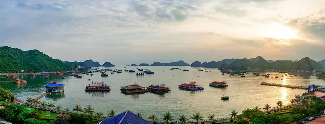 Orchid Cruise to Lan Ha Bay: From 305 USD/person