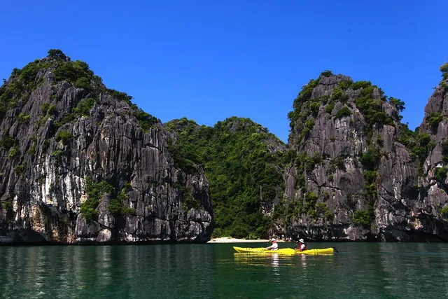 Pelican Cruise: From 140 USD/ pax