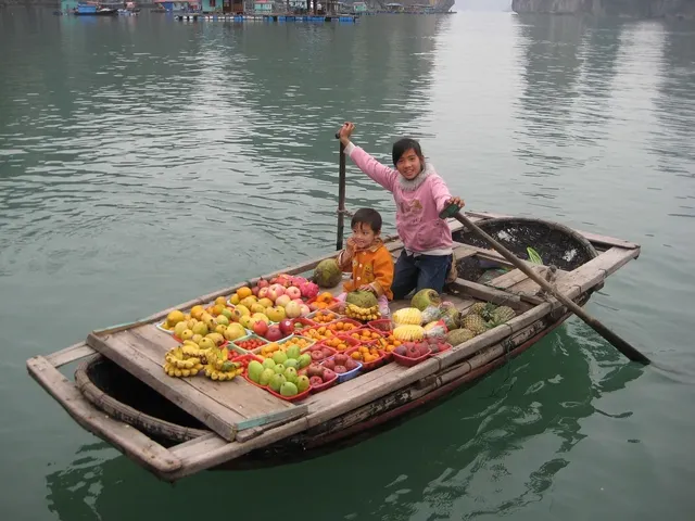 Paradise Luxury Cruise: From 405 USD/person