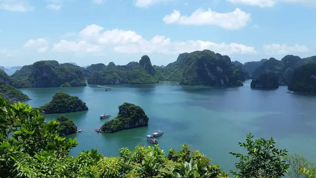 Lemon Cruise: From 168 USD/ person