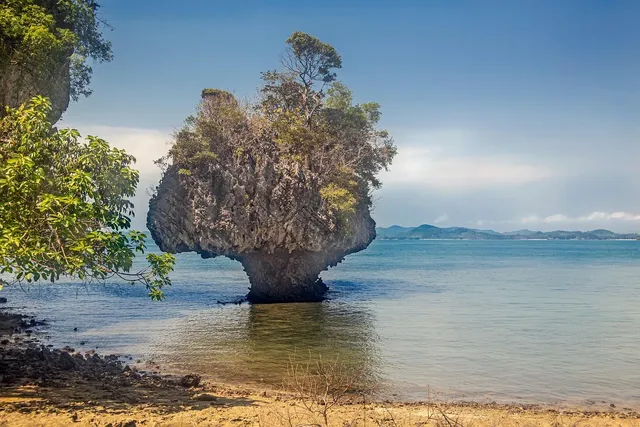 Incredible Asia Journey Day Cruise: 51 USD/pax