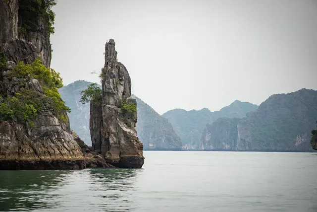 Orchid Cruise to Lan Ha Bay: From 305 USD/person