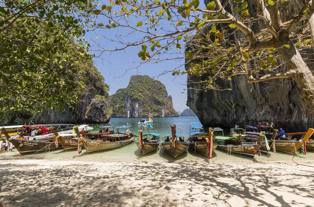 Swan Cruise to Halong bay: From 230 USD/ pax