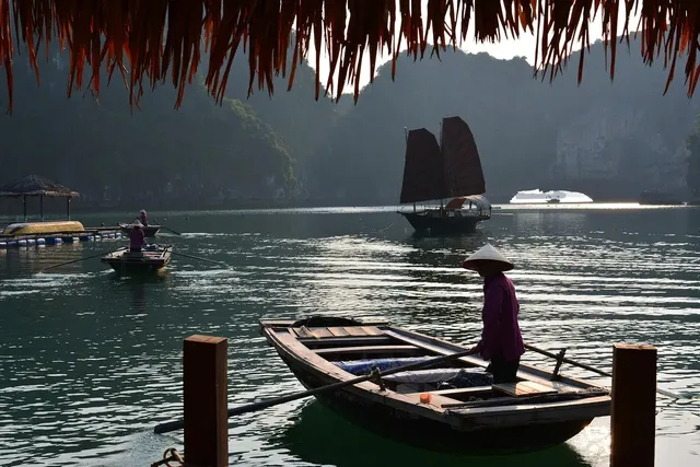 Carina Cruise: From 147 USD/ person