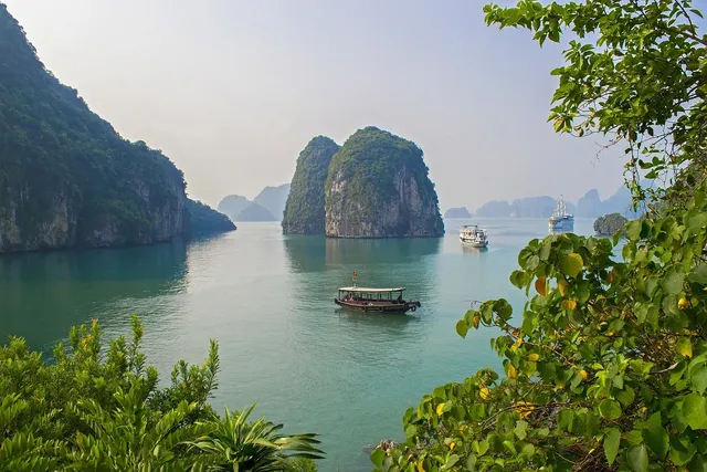 Stellar Cruise: From 254 USD/person