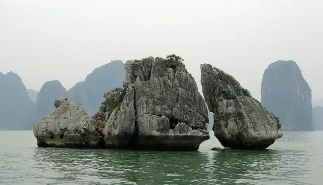 Swan Cruise to Halong bay: From 230 USD/ pax