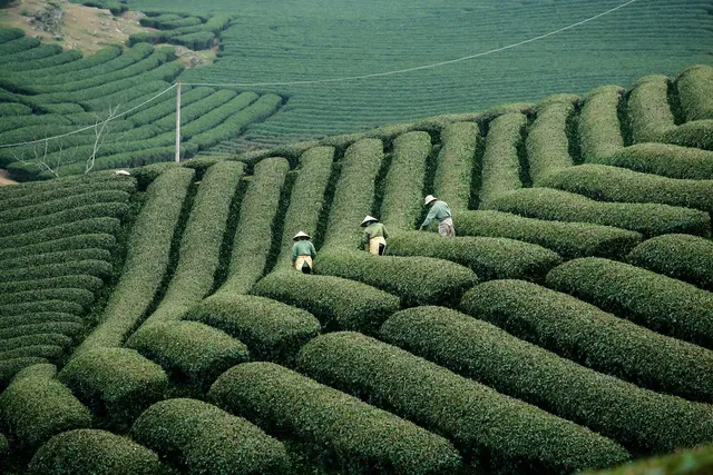 Northern Vietnam Tour 8 Days/ 7 Nights