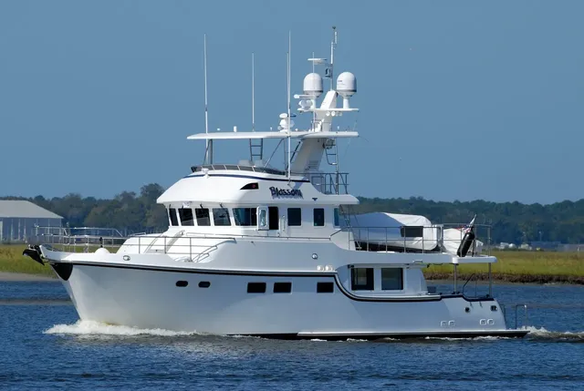Carina Cruise: From 147 USD/ person