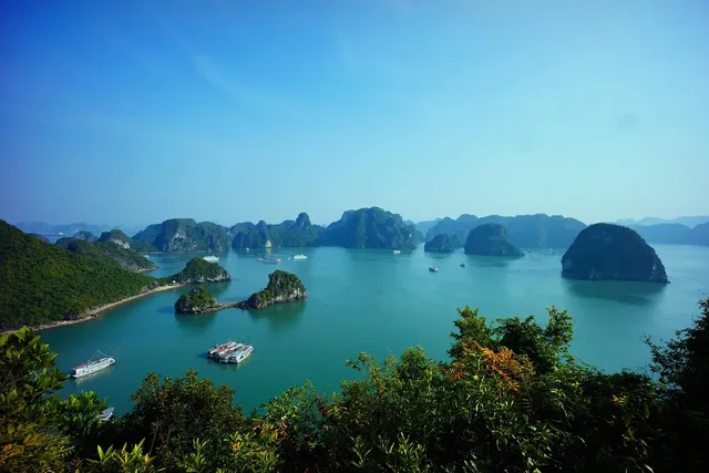 L'Azalee Cruises: From 325 USD/person