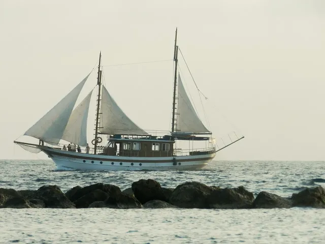 Flamingo Cruise: From 125 USD/pax