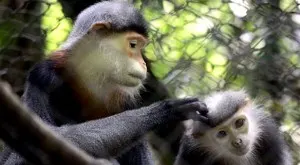 Hanoi - Cat Ba Island 2 days/ 1 night