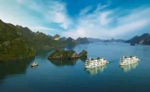 Era Cruise - Lan Ha Bay from 145 USD/person